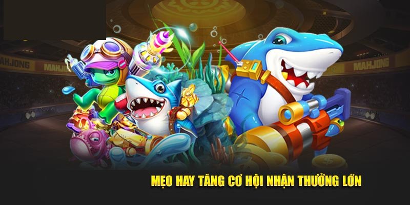 Khám phá các mẹo bắn cá từ cao thủ giúp bạn thắng lớn 6 Các mẹo chơi bắn cá hiệu quả từ cao thủ