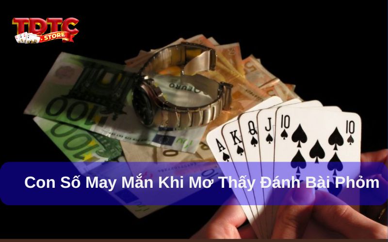Mơ thấy đánh bài phỏm đánh con gì? Giải mã giấc mơ 6 Con số may mắn khi mơ thấy đánh bài phỏm