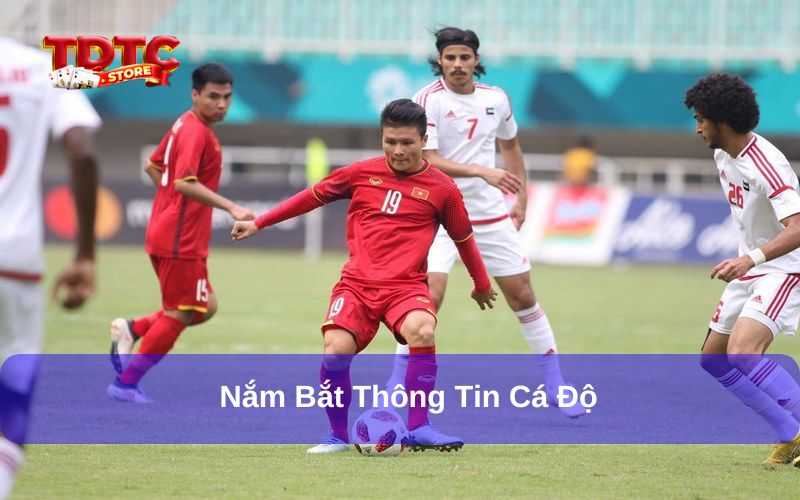 Các loại kèo việt vị TDTC phổ biến cần nắm khi cá cược 7 Tổng hợp thông tin bắt kèo chuẩn