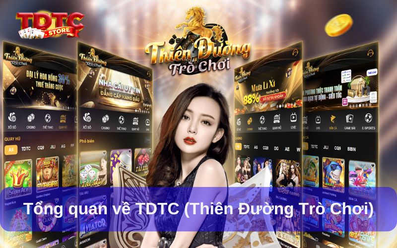 Trải nghiệm ưu đãi cho người chơi VIP Thiên Đường Trò Chơi 5 Tổng quan về TDTC (Thiên Đường Trò Chơi)