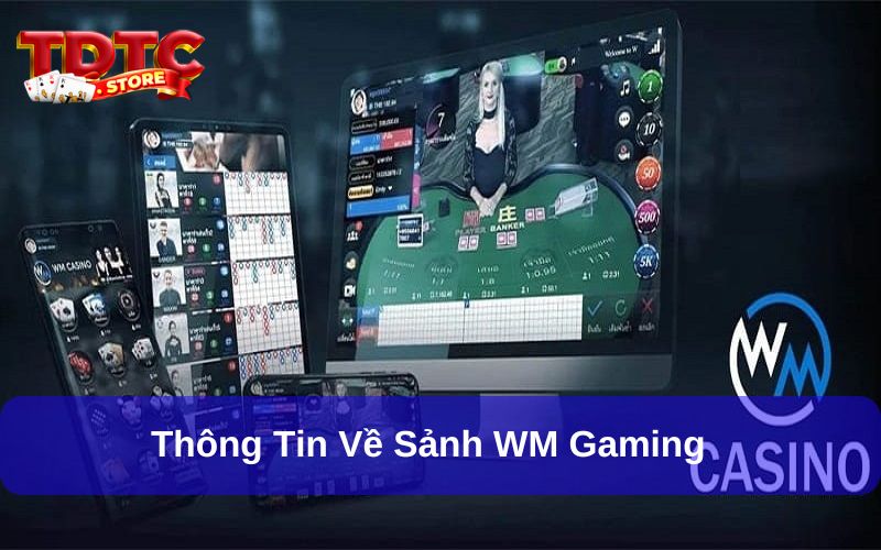 WM Gaming - Khám Phá Không Gian Giải Trí Casino Đỉnh Cao 5 WM Gaming là sảnh casino chưa bao giờ hết hot